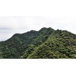 富甲一方，贵气中藏，权震一帝